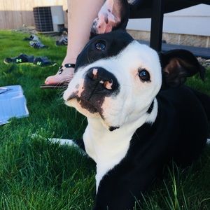 Meet your Posher, Teagan